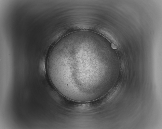 X0000102390398200808081232