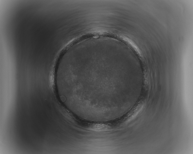 X0000102390399200808081232