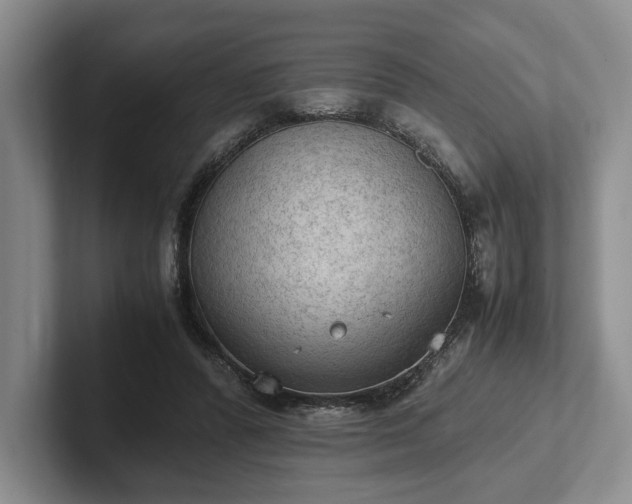 X0000102390400200808081232