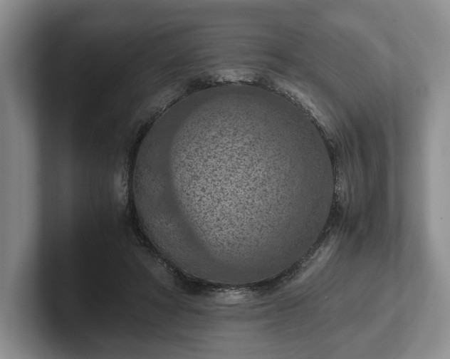 X0000102390402200808081231