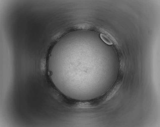 X0000102390403200808081231