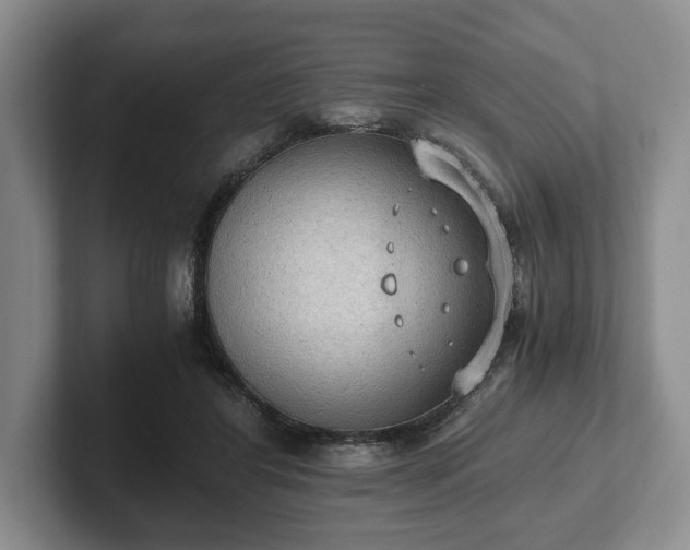 X0000102390404200808081231