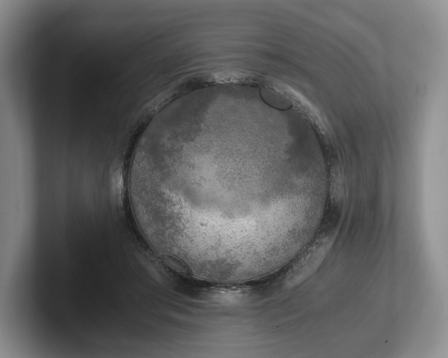 X0000102390405200808081231