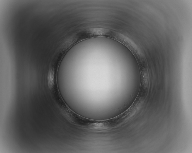 X0000102390406200808081231