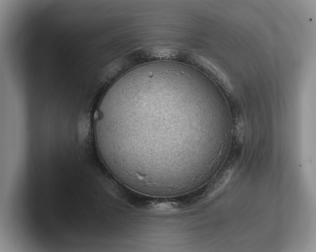 X0000102390407200808081231