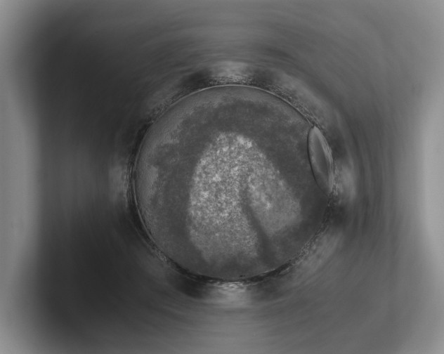 X0000102390409200808081231