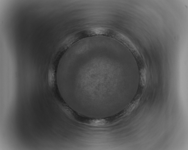 X0000102390410200808081231