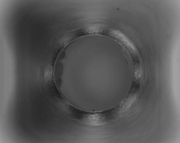 X0000102390411200808081231