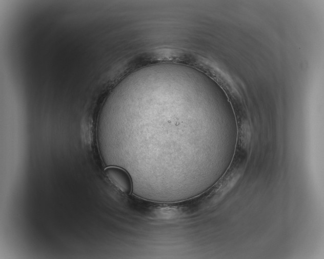 X0000102390413200808081231