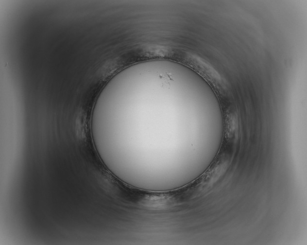 X0000102390414200808081231