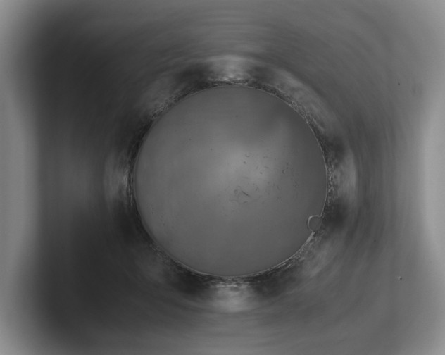 X0000102390415200808081231