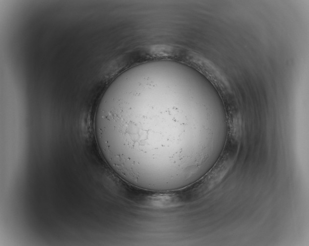 X0000102390418200808081231