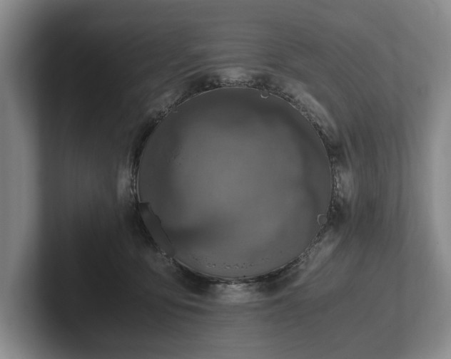 X0000102390419200808081231