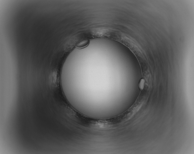 X0000102390420200808081231