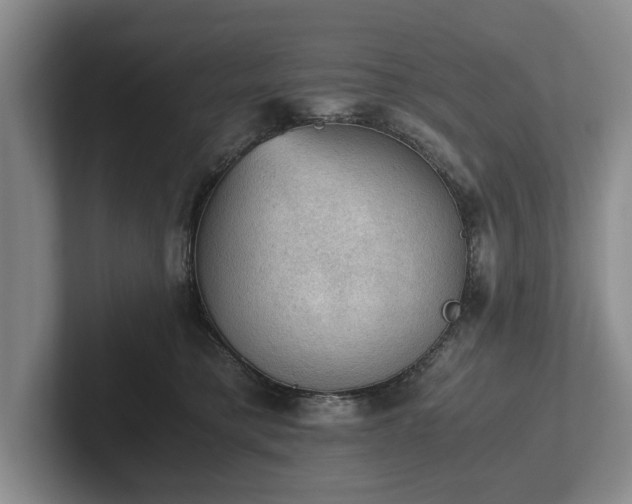 X0000102390421200808081231