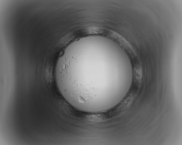 X0000102390422200808081231