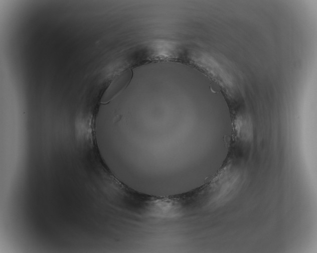 X0000102390423200808081231