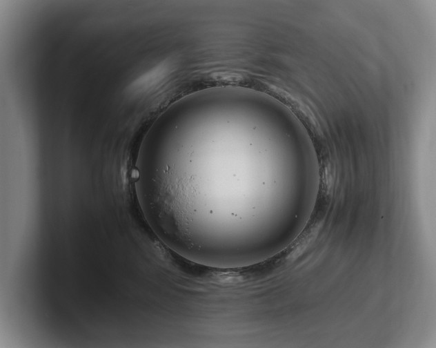 X0000102390424200808081231