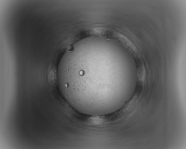 X0000102390425200808081231