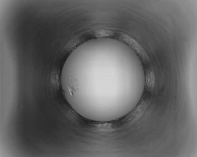 X0000102390426200808081231