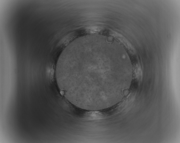 X0000102390427200808081231