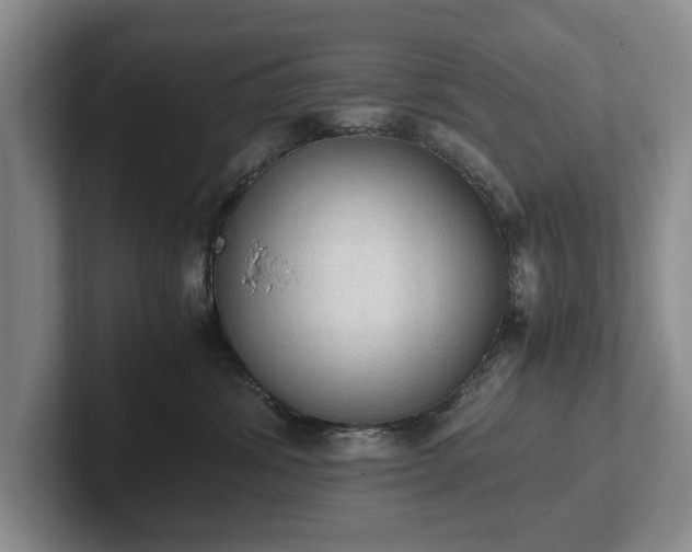 X0000102390428200808081231