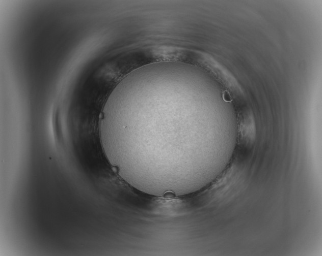 X0000102390429200808081231