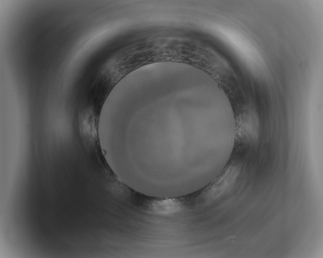 X0000102390431200808081231