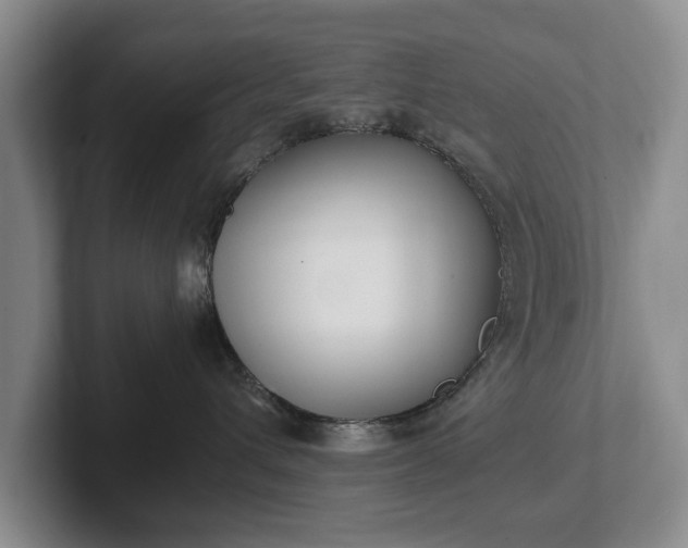 X0000102390432200808081231