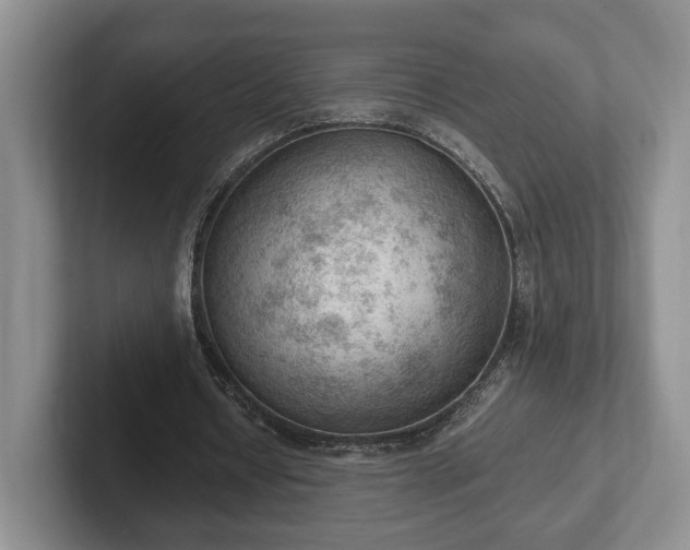 X0000102390434200808081230