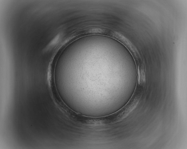 X0000102390435200808081231