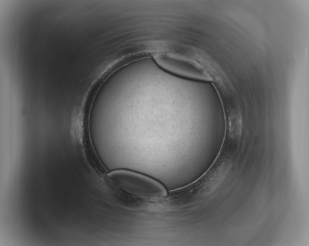 X0000102390436200808081231