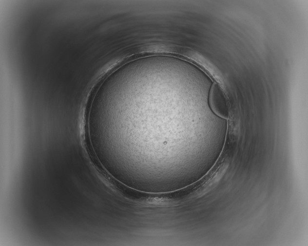 X0000102390437200808081231