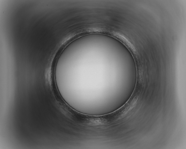 X0000102390439200808081231