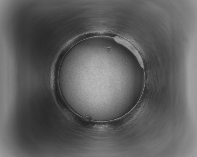 X0000102390440200808081231