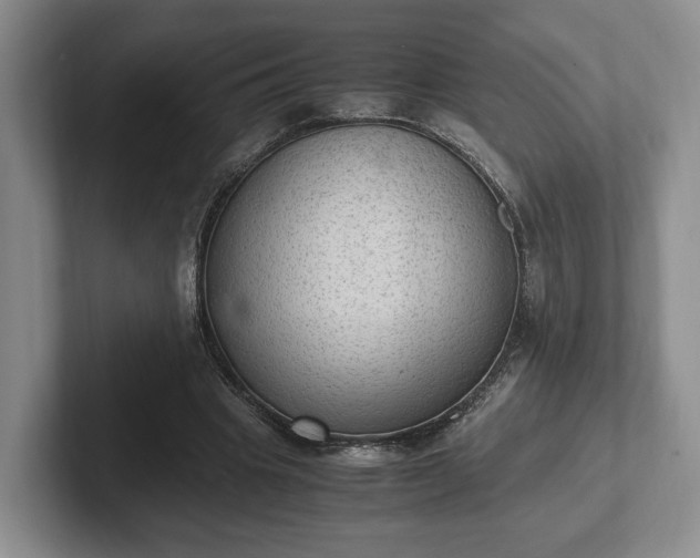 X0000102390441200808081231