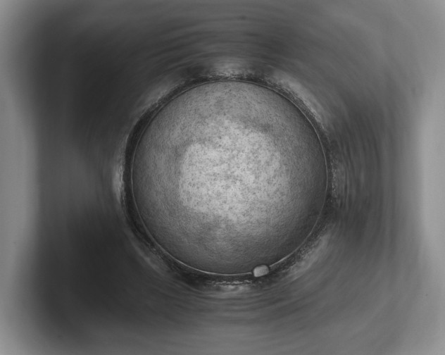 X0000102390443200808081231