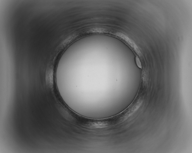 X0000102390445200808081231