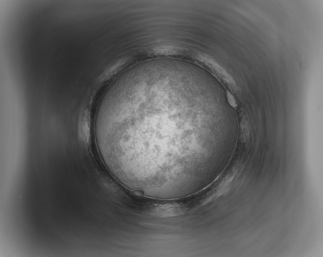 X0000102390446200808081231