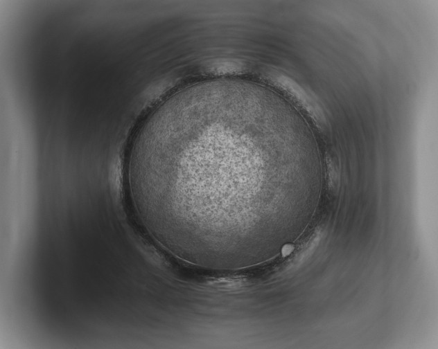 X0000102390447200808081231