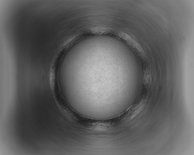 X0000102390448200808081231