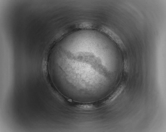 X0000102390449200808081231