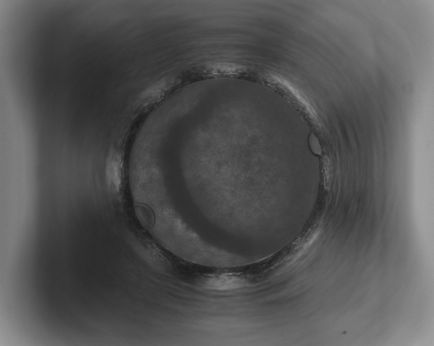 X0000102390451200808081231