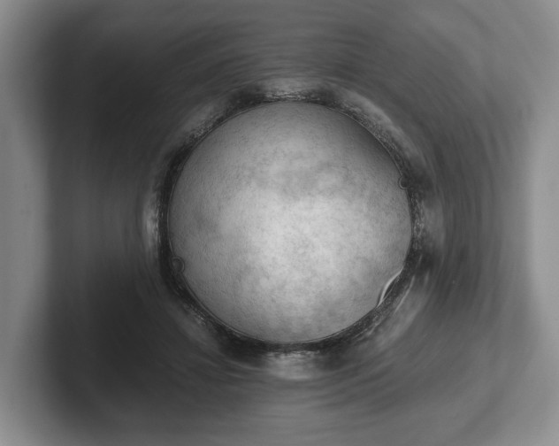 X0000102390452200808081231