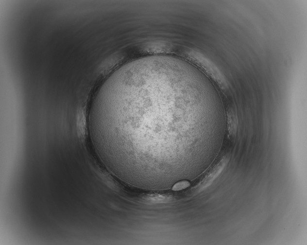 X0000102390453200808081231