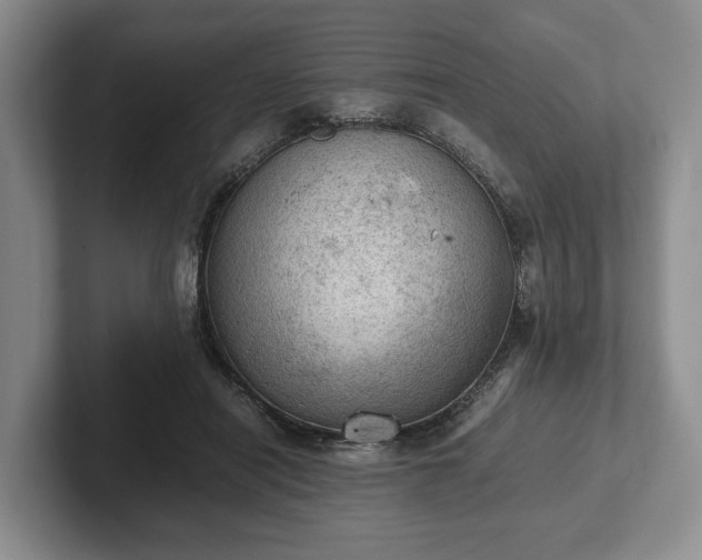 X0000102390454200808081231