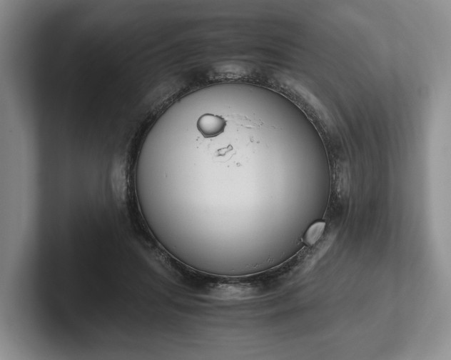 X0000102390455200808081231