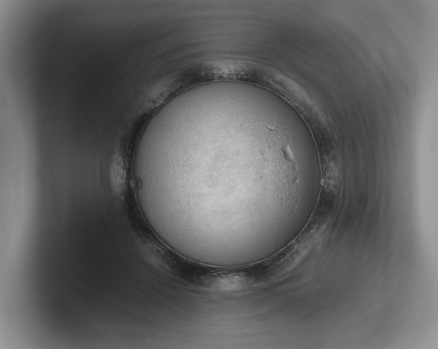 X0000102390456200808081231