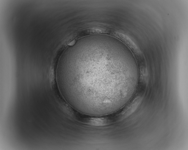 X0000102390457200808081231