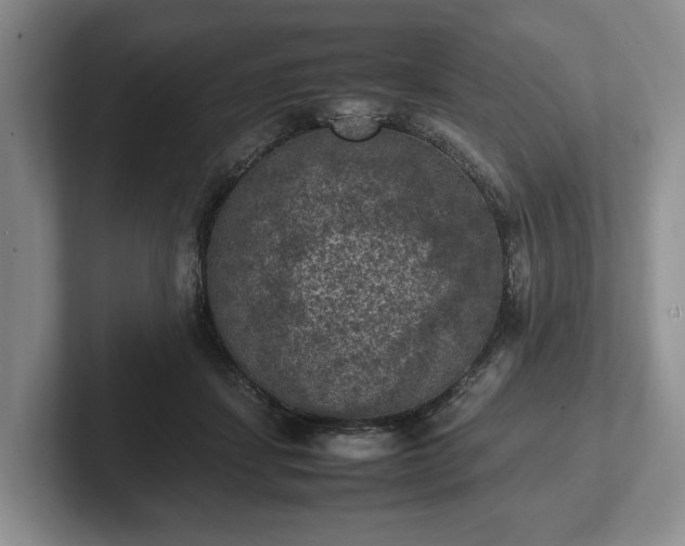 X0000102390459200808081231